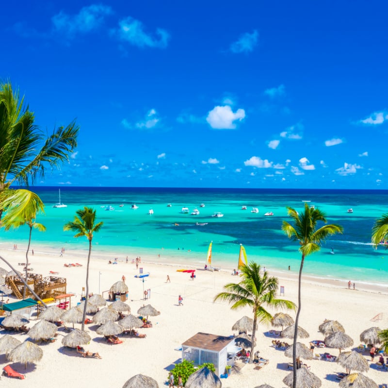 Aerial drone view of beautiful atlantic tropical beach with palms, straw umbrellas and boats. Bavaro, Punta Cana, Dominican Republic.