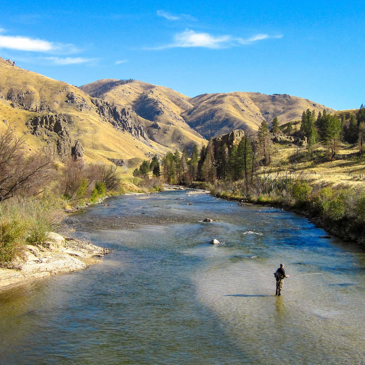 Boise River fisherman.