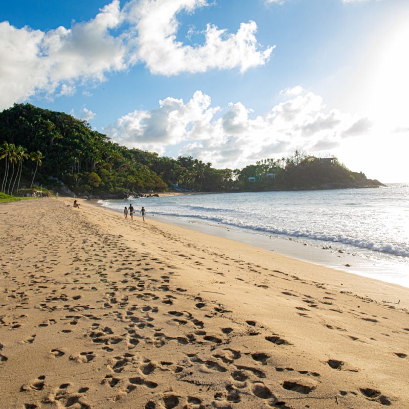 Footprints in sand on beach in San Pancho, Mexico