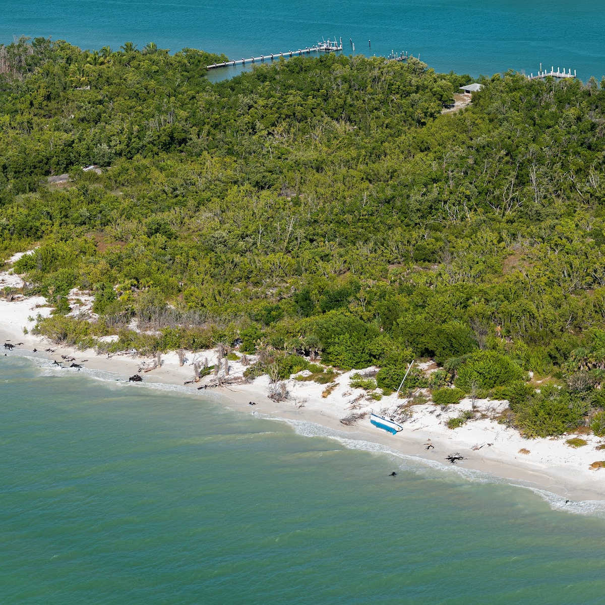 Lush greenery and white sand of Keewaydin Island