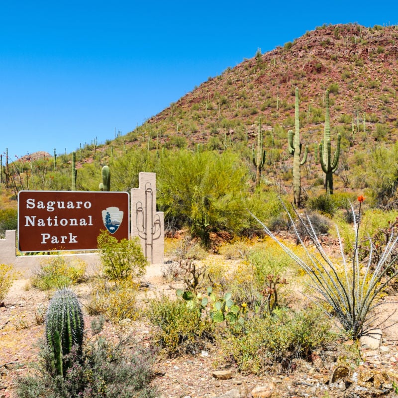 Saguaro National Park sign