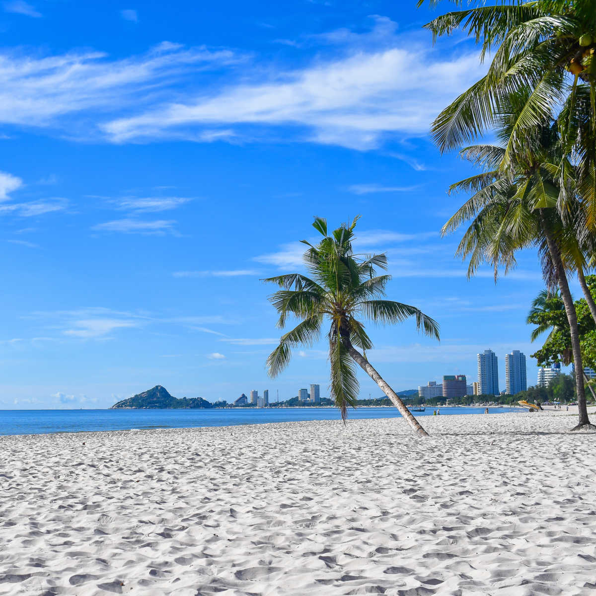 Coconut trees on white sand beach - Hua Hin