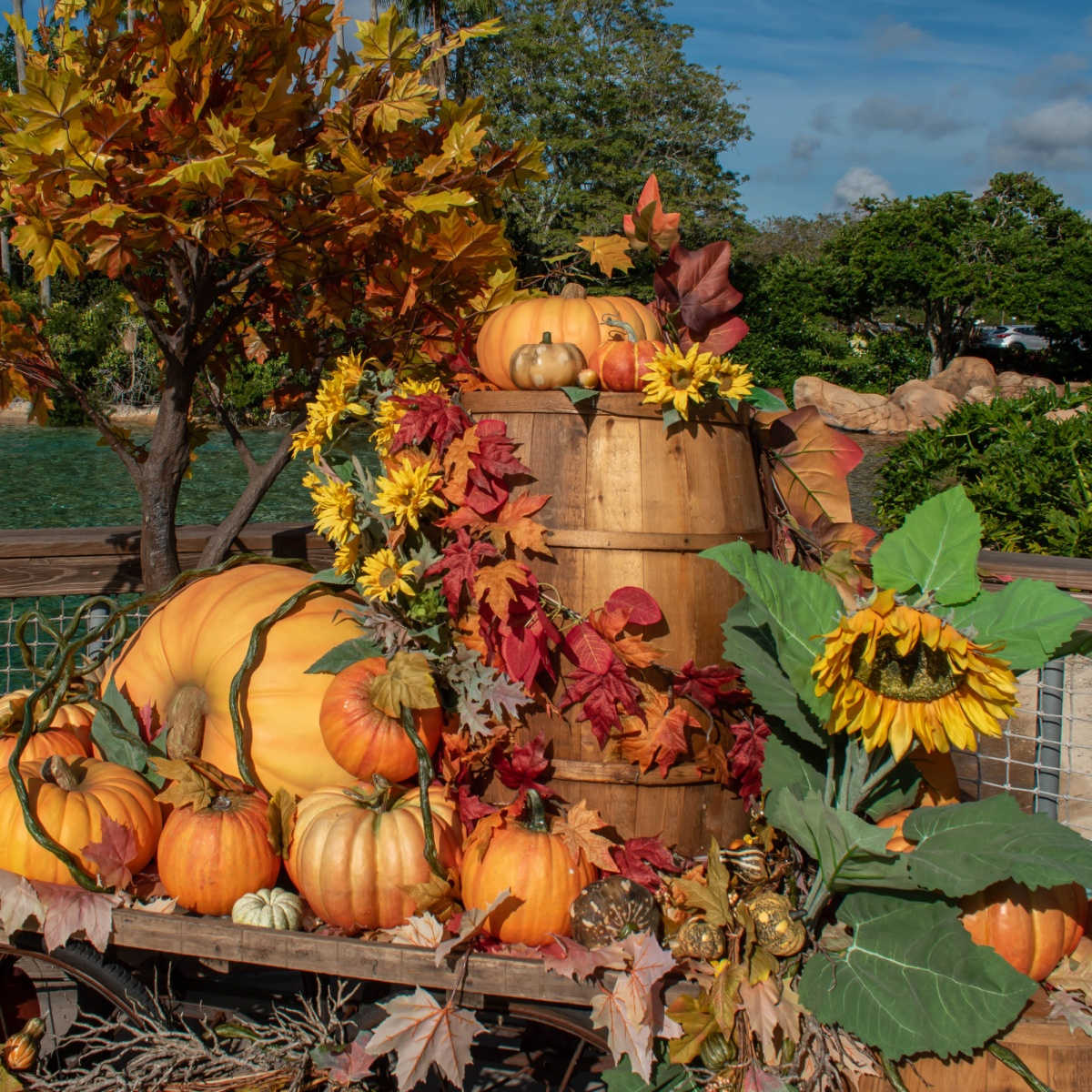 Halloween decorations in Walt Disney World Orlando