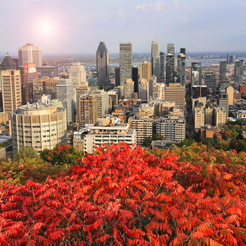 Montreal in fall