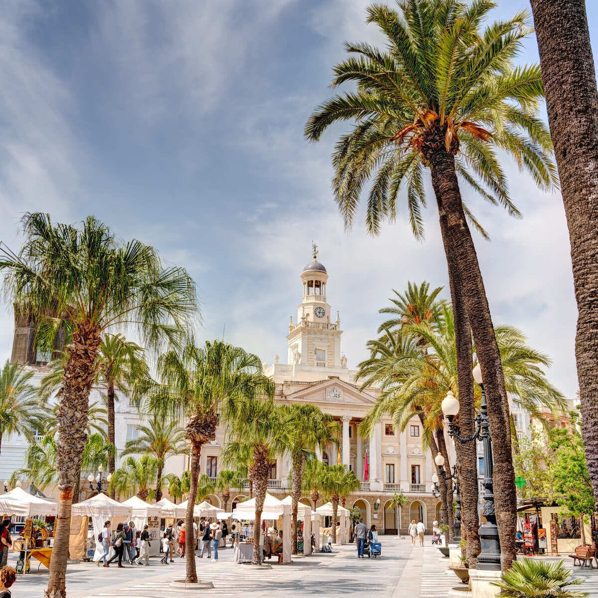 Palm Trees Lining The Plaza De Mina, Cadiz, Spain