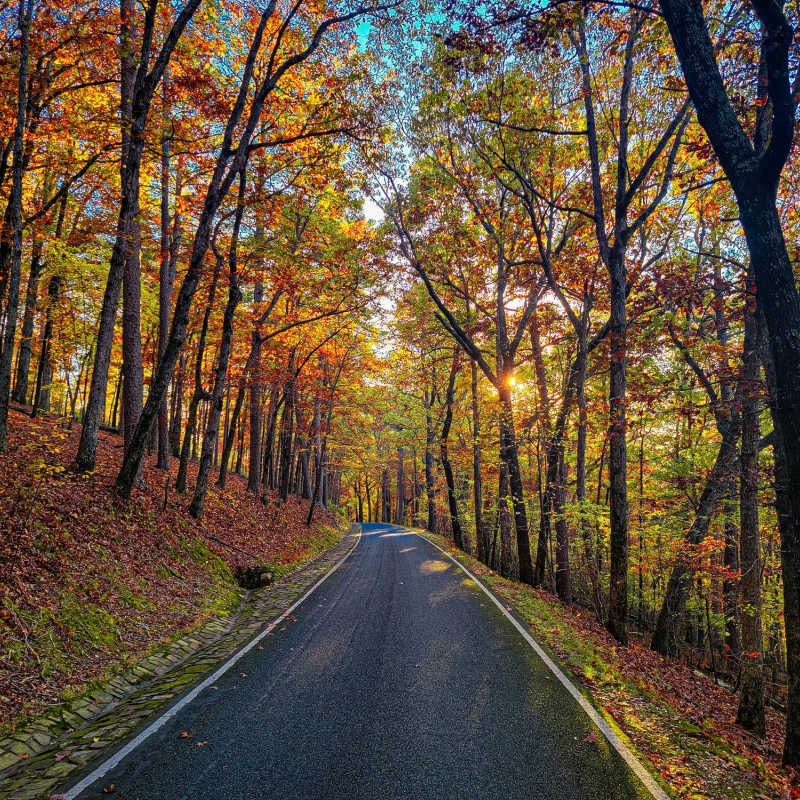 Pretty fall foliage lined street in Hot Springs National Park