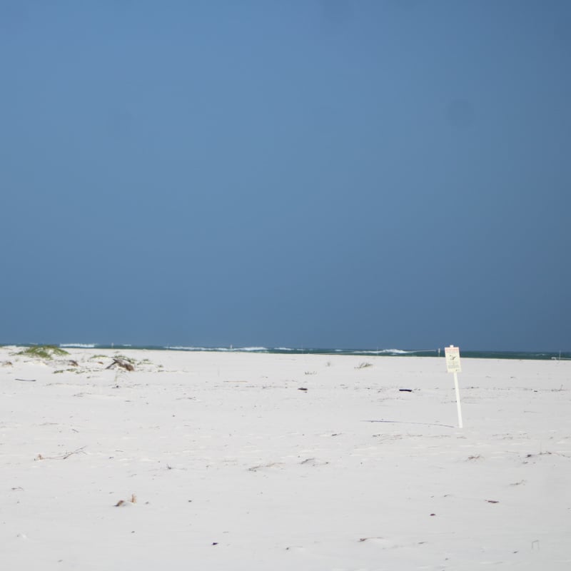 Spacious Fort Pickens beach with white sand