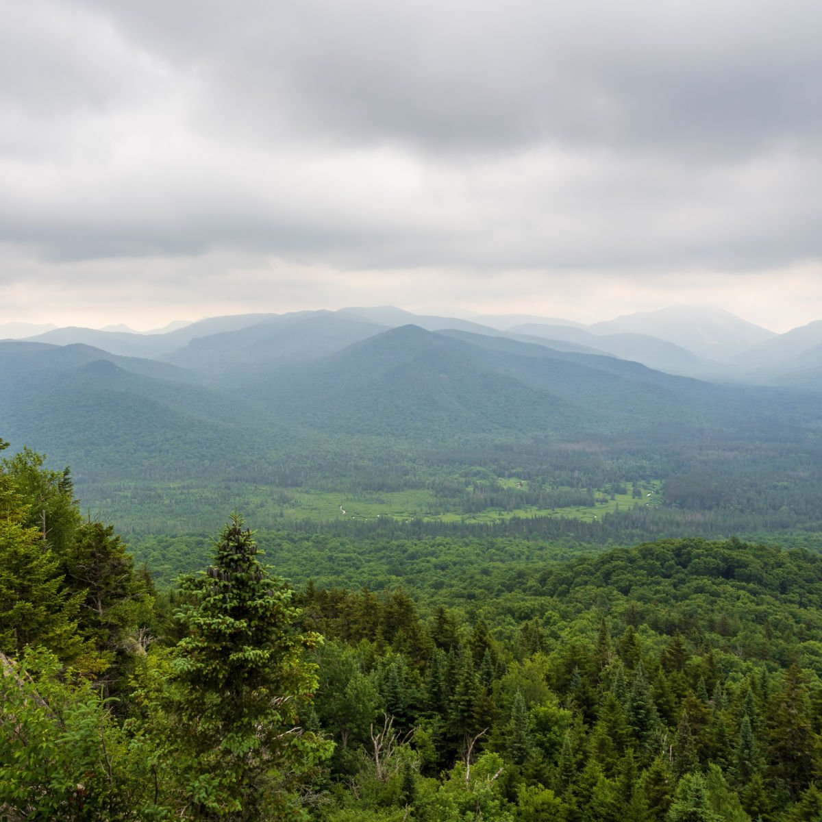 The summit of Mt. Van Hoevenberg, Adirondack Mountains