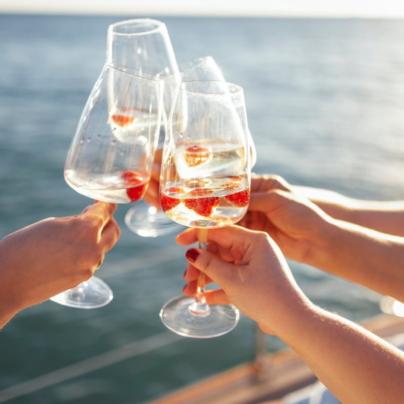 Toasting wine glasses on ferry ride