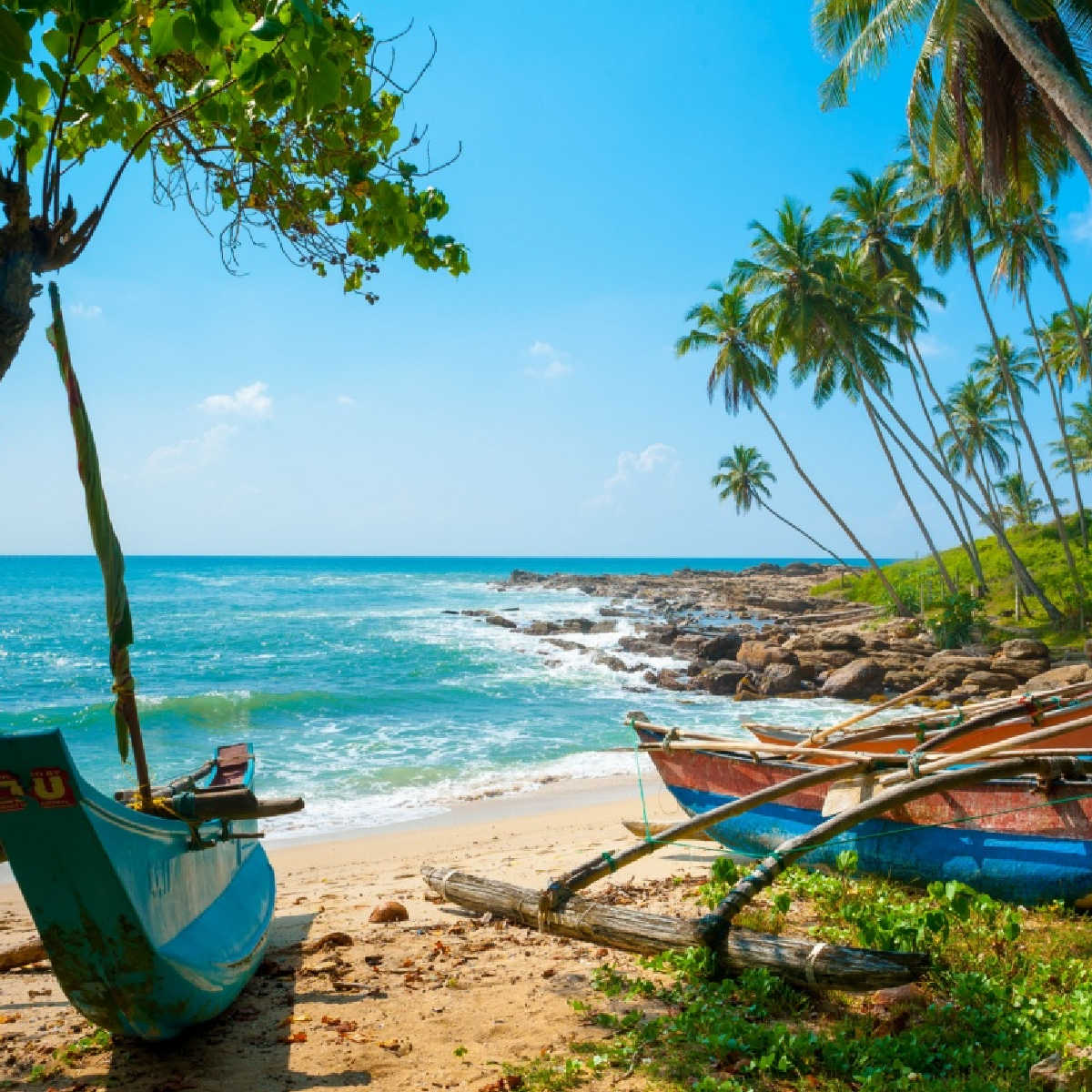 Untouched tropical beach with palms and fishing boats in Sri-Lanka