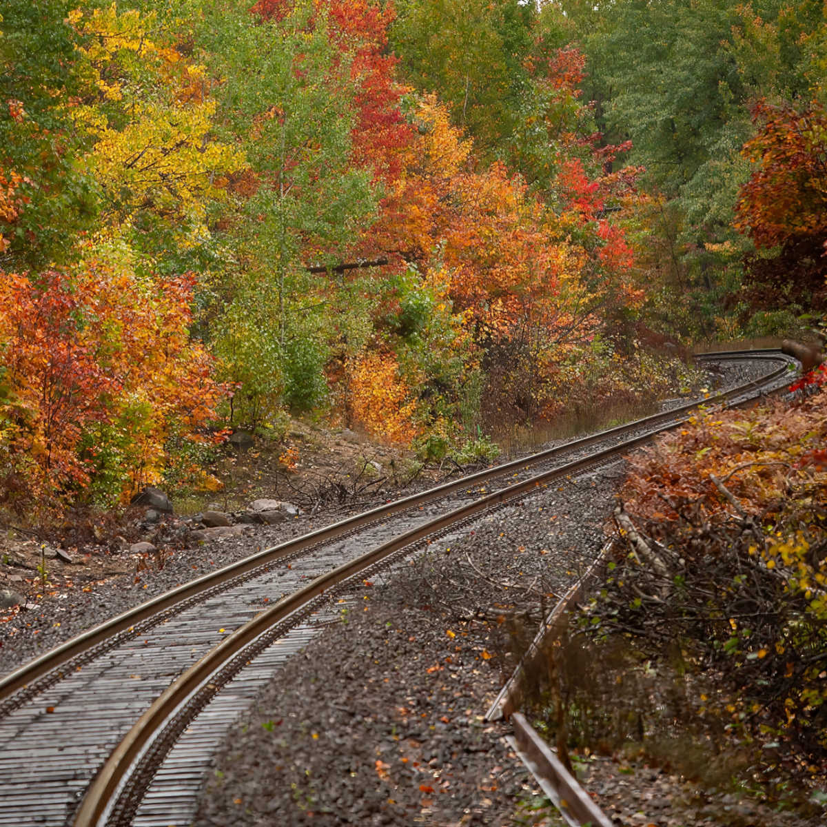 Winding tracks through NY's fall foliage