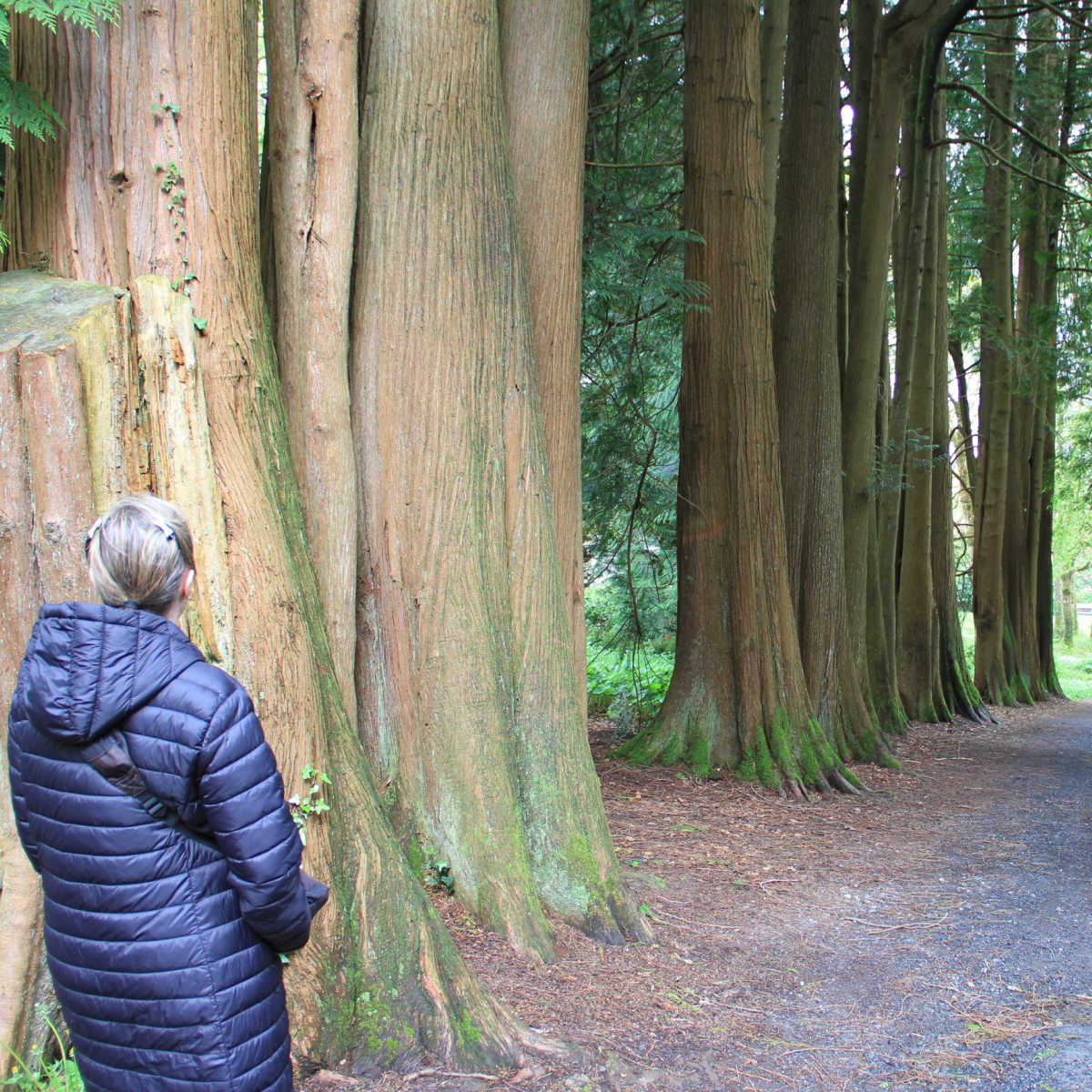 Woman hiking scenic trail -Inistioge, Ireland