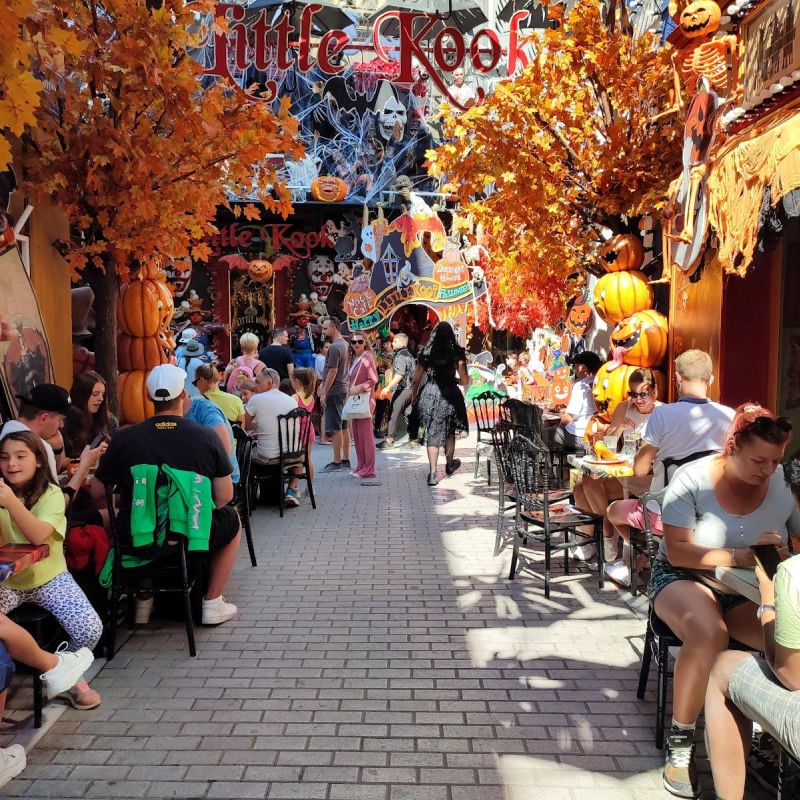 Fall-themed cafe in Athens, GR