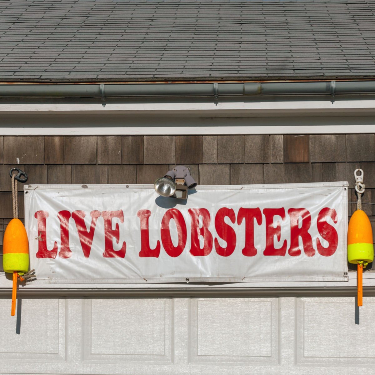 Live Lobsters sign in Brunswick, ME