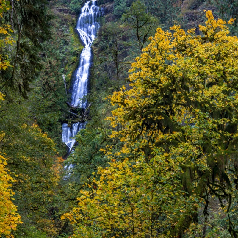 Munson Creek Falls in Oregon