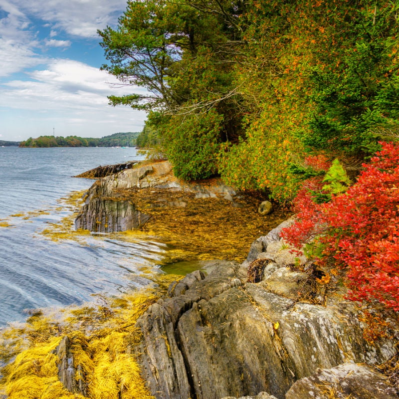 Orr's Island fall foliage