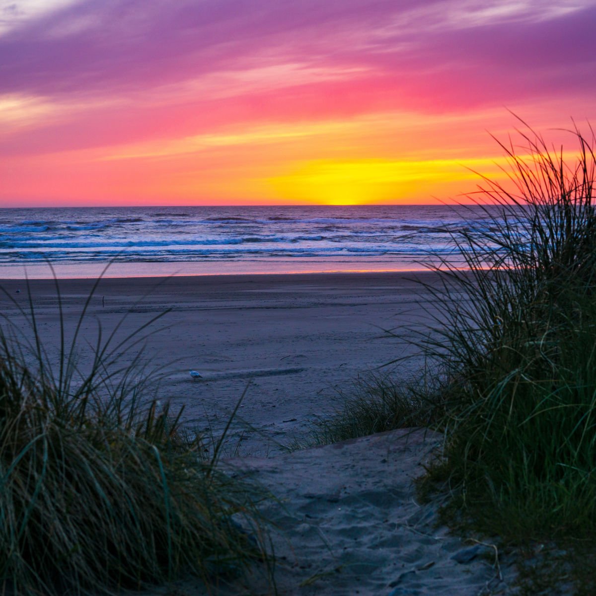 Rockaway Beach, OR sunset on beach