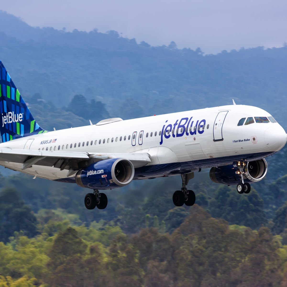 jetBlue plane flying over lush greenery