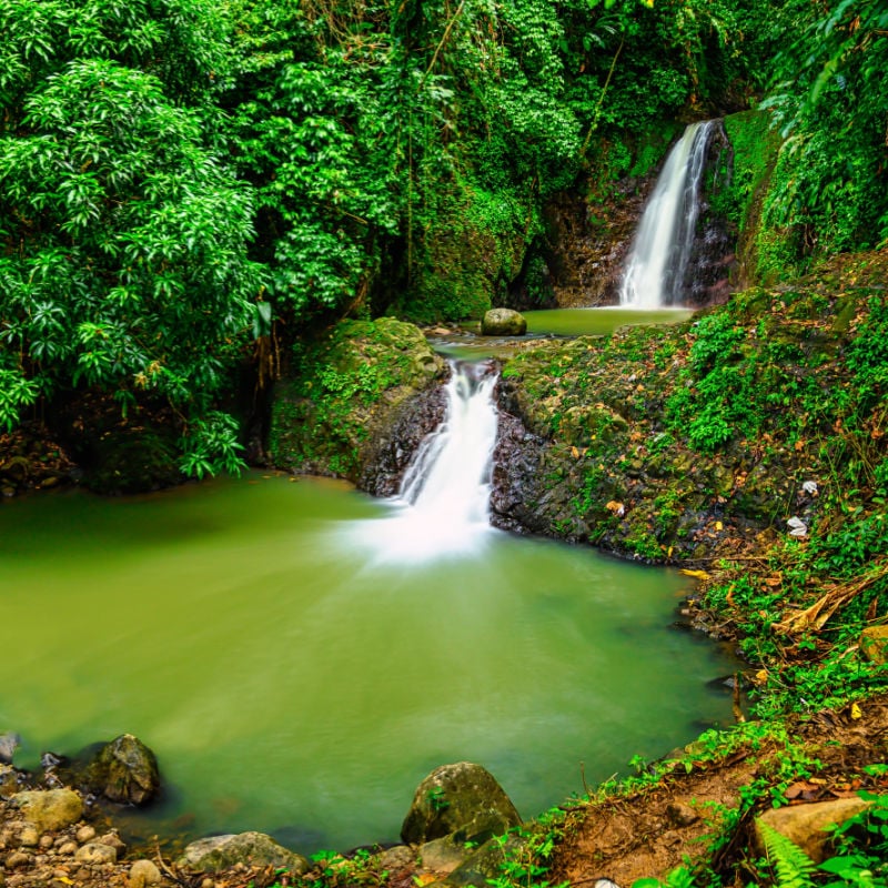 A view of Seven Sisters Waterfalls in the jungle on Grenada