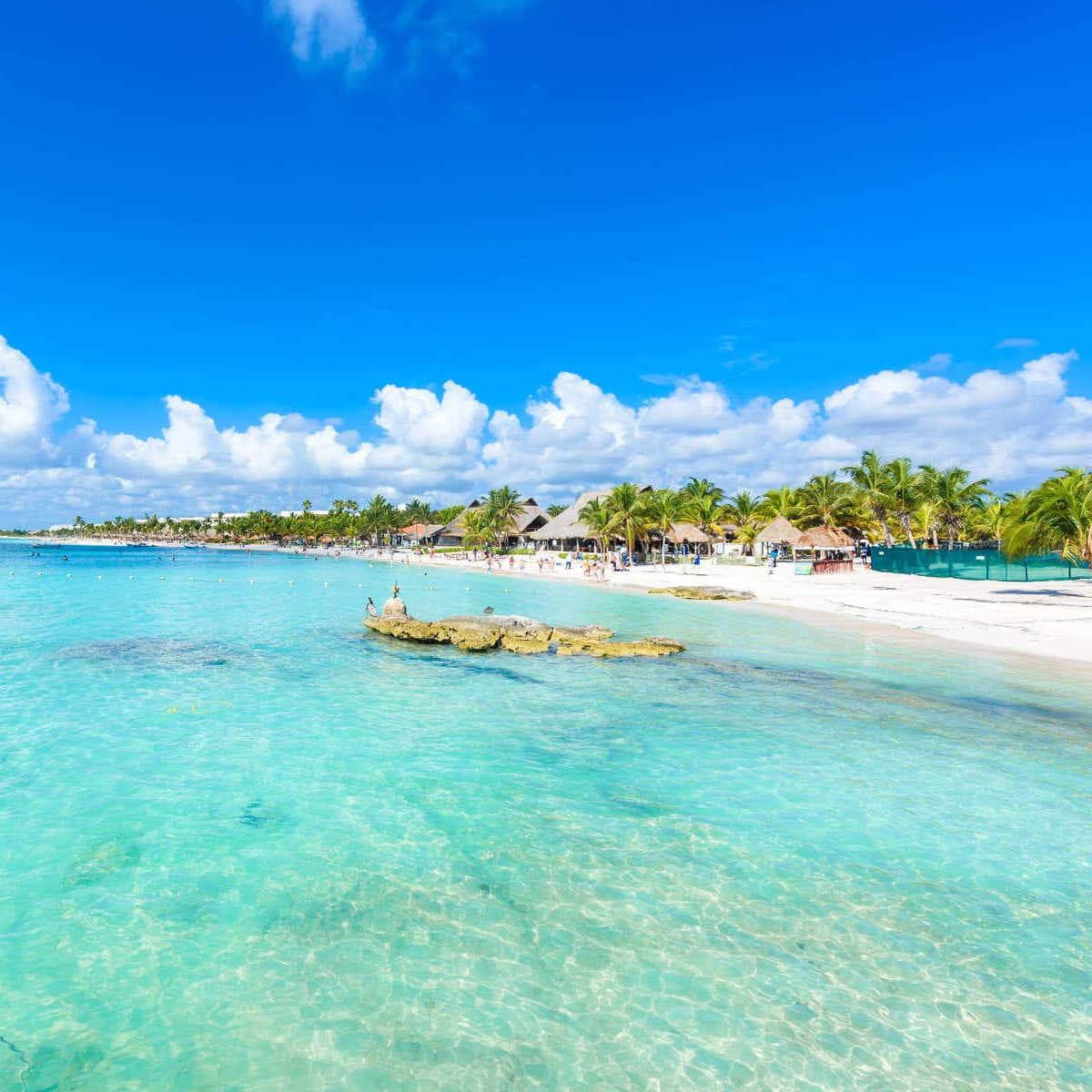 Caribbean Beach In Mexico