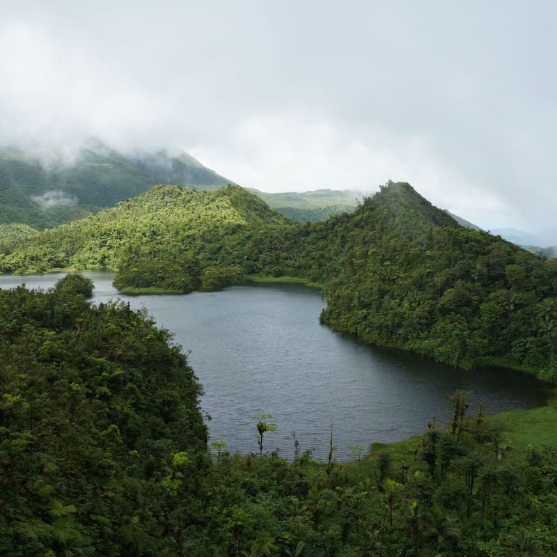 Morne Trois Pitons National Park In Dominica