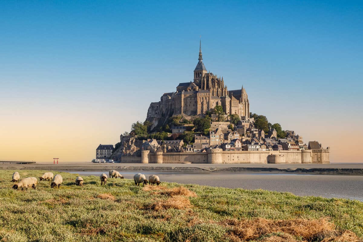 Mont Saint Michel Seen From A Sheep Farm During High Tide, France