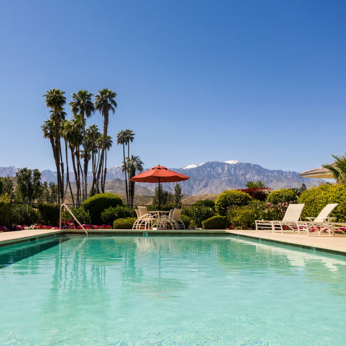 Palm Springs mountain view from resort pool