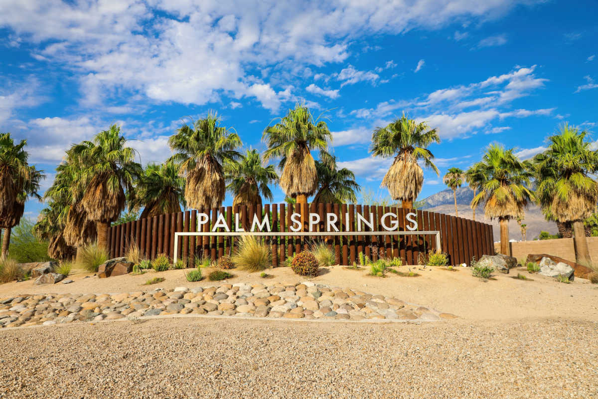 Palm Springs sign backdropped by palm trees