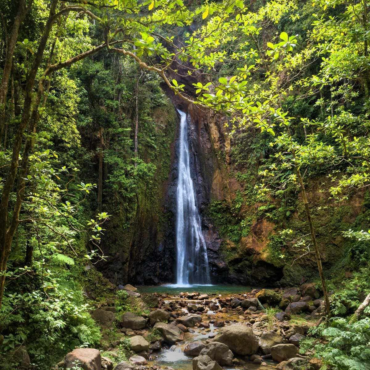 Waterfall In Dominica