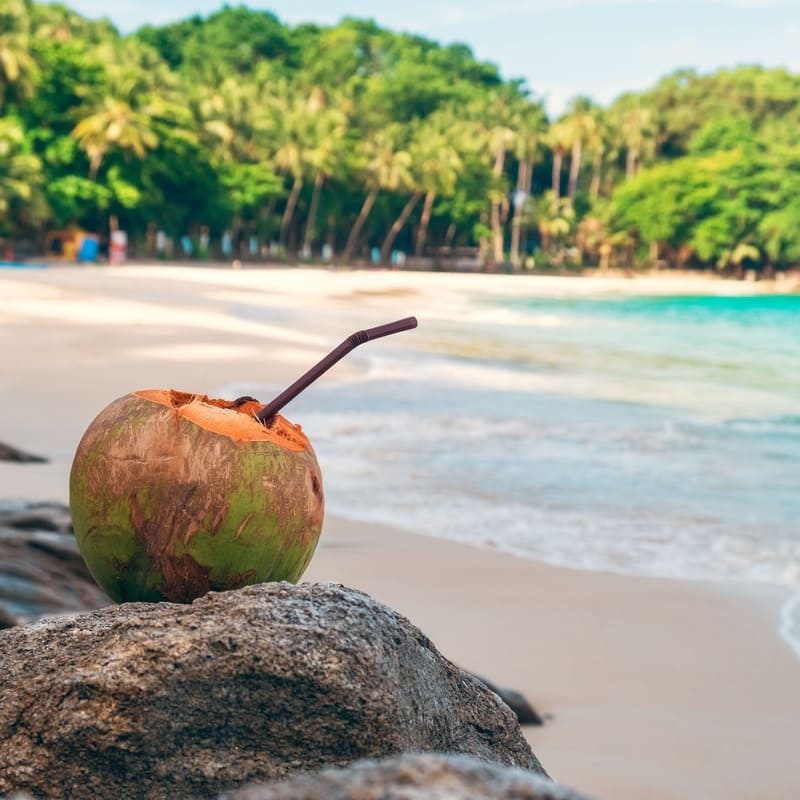 A Coconut Resting On A Rock In A Beach In Phuket, Thailand