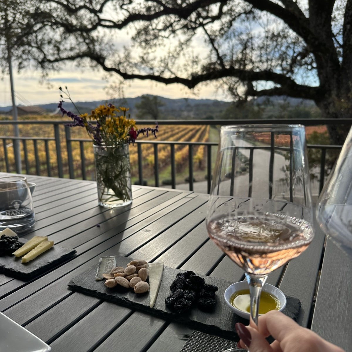 A vineyard in Healdsburg