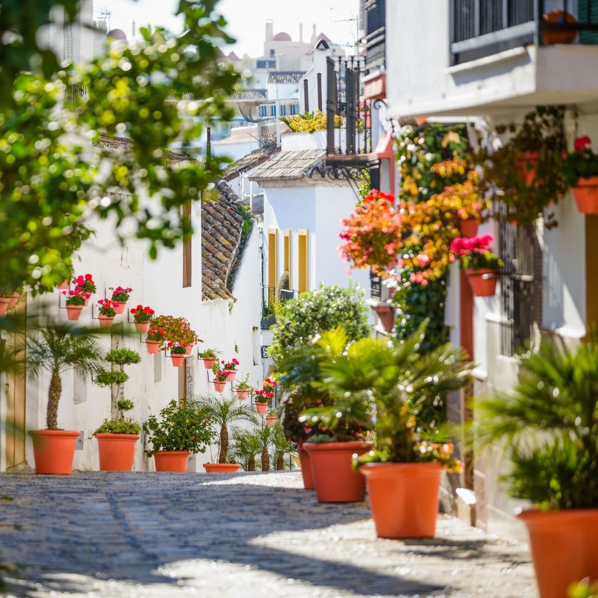 Old Streets In Estepona, Spain