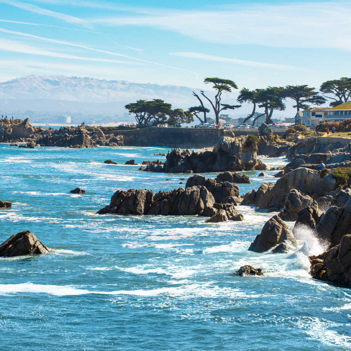 Rocky shores of Monterey, CA