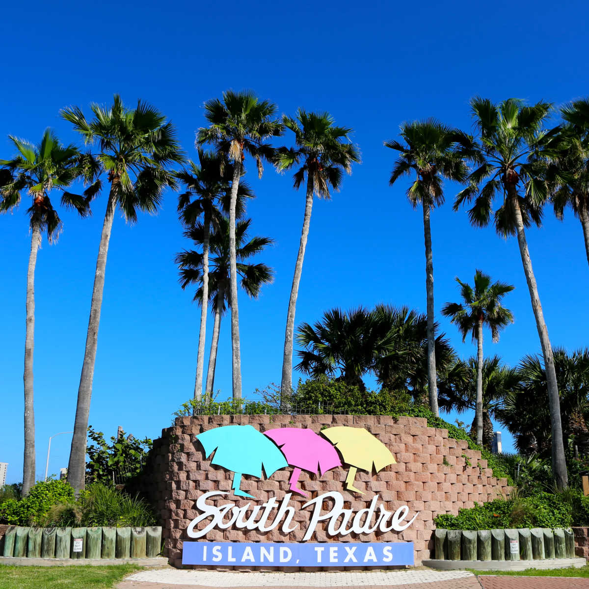 South Padre sign surrounded by palm trees