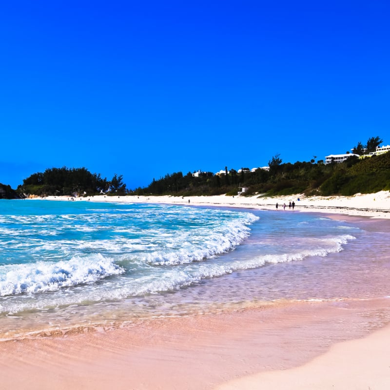 panoramic view at north end of horseshoe bay beach bermuda