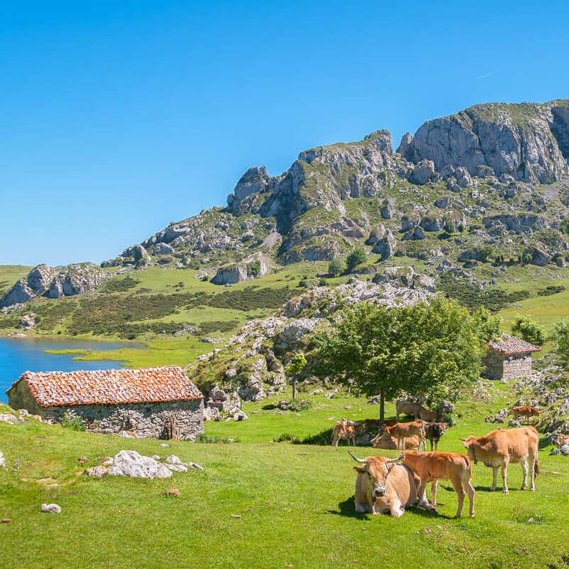 Asturias Countryside In The North Of Spain