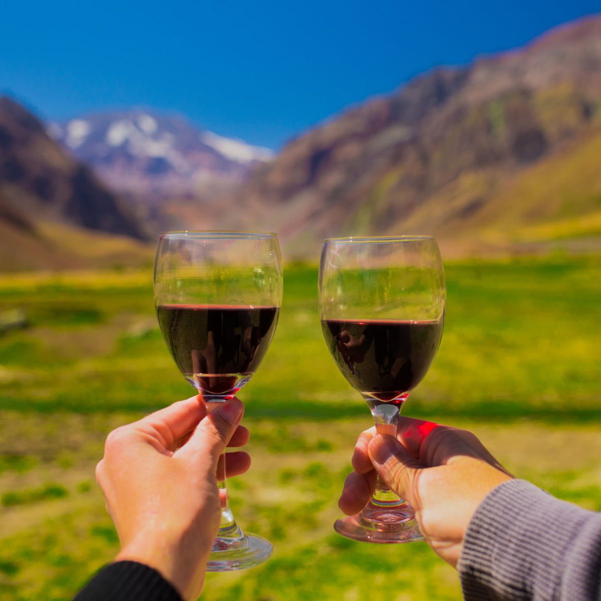 Drinking wine outside Santiago, Chile