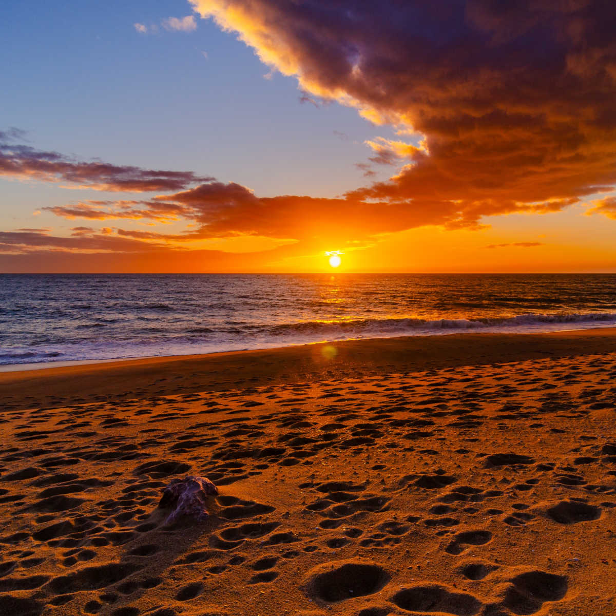 Faro Beach at sunset