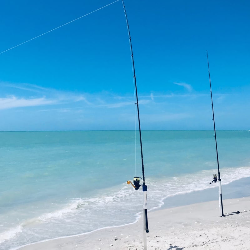 Fishing poles on Englewood Beach in Florida