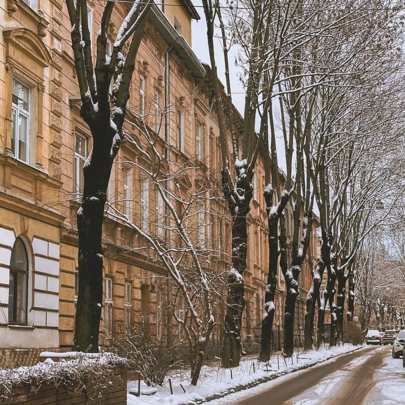 Lviv Old Town Covered In Snow, Ukraine