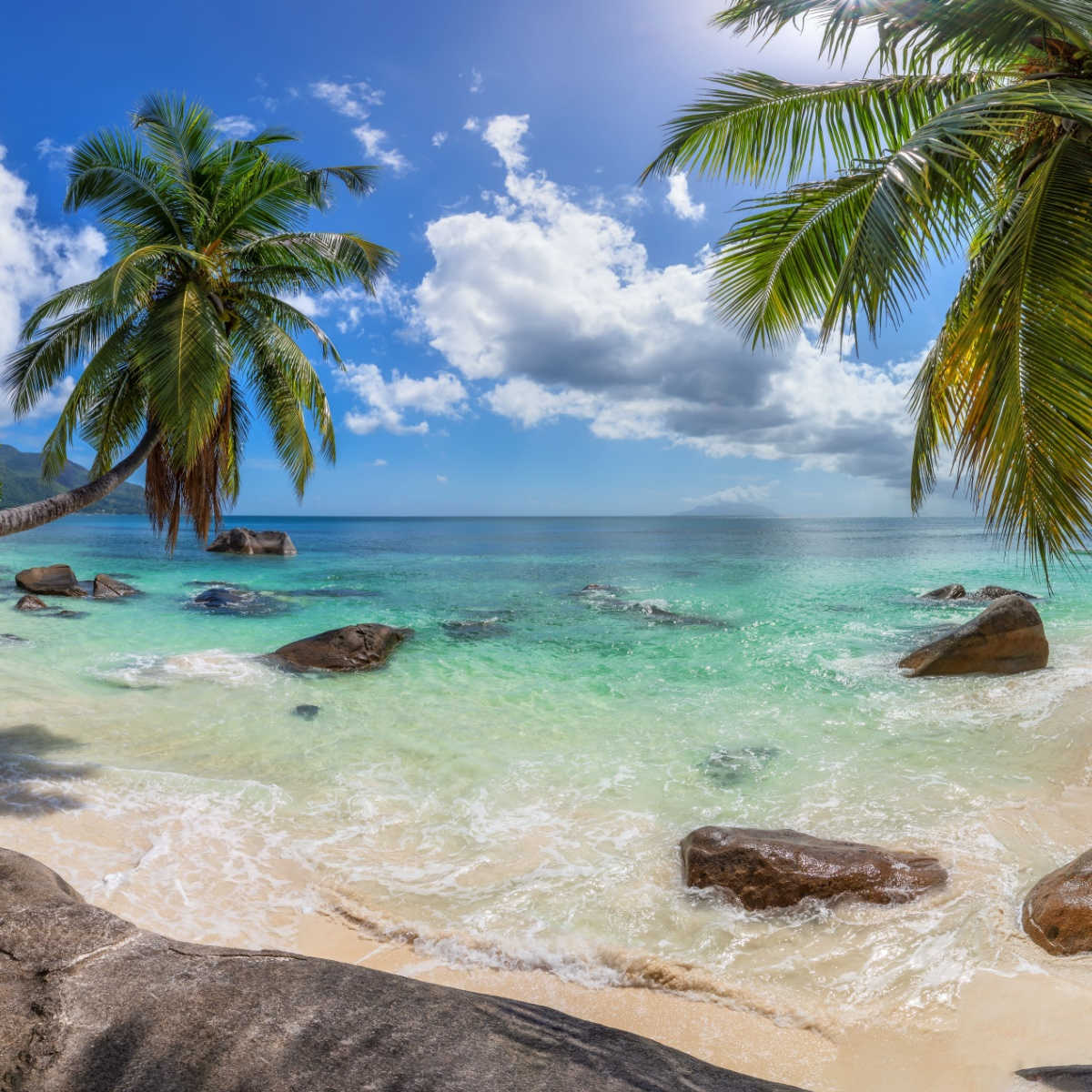 Paradise beach, Jamaica