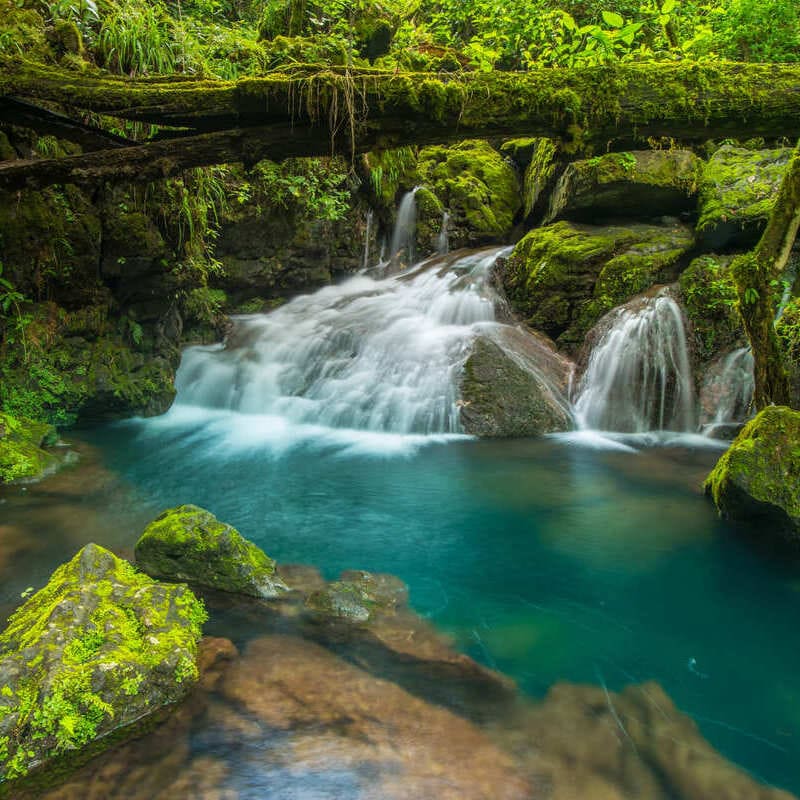 Natural Spring In Tamaulipas, Mexico