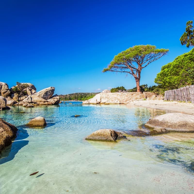 Palombaggia Beach In Corsica, France