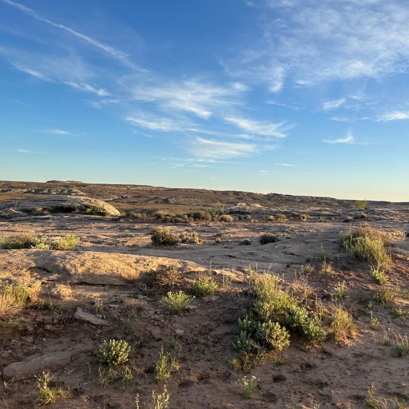 Utahraptor State Park landscape