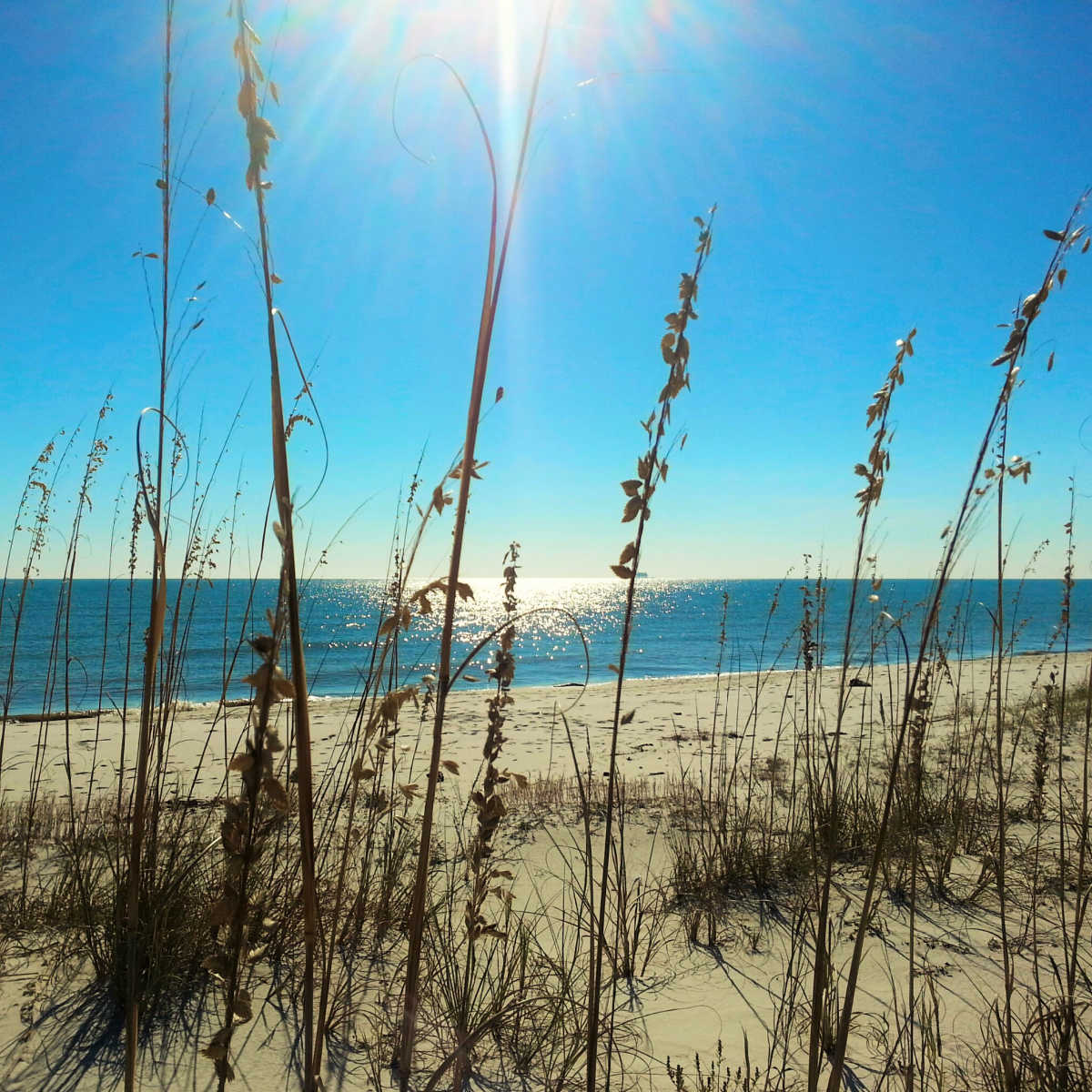 Vivid blue water of Dauphin Island, AL beach