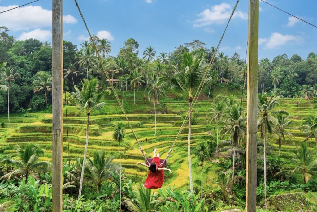 Swing over rice fields in Bali