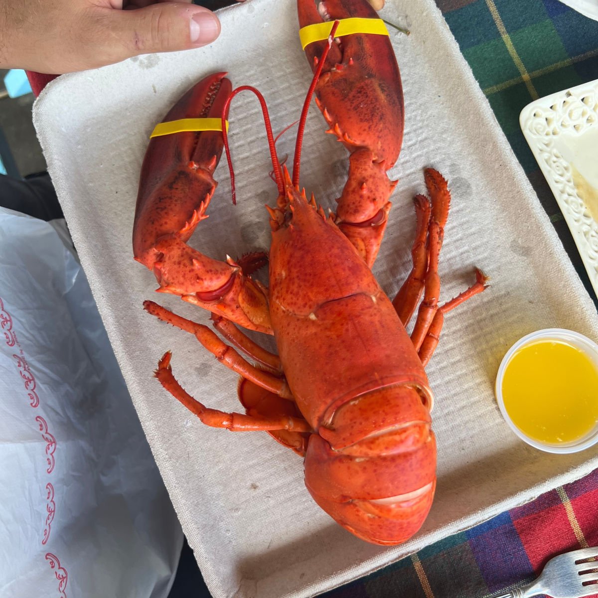 Lobster with butter served in Kittery, Maine